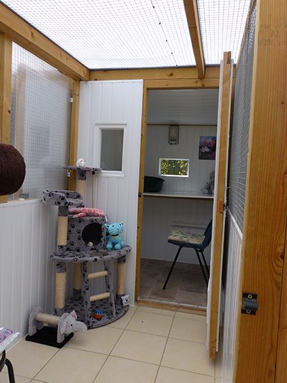 Luxury chalet exterior at Puddy Cats Cattery