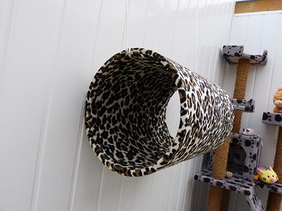 Climbing frame in a chalet