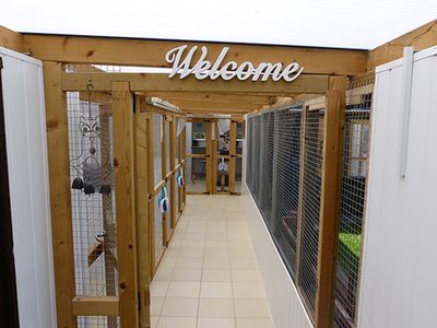 Inside the cattery walkway