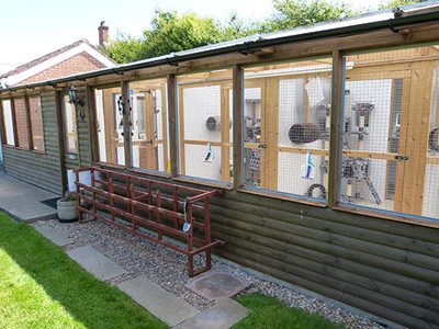 Outside the cattery