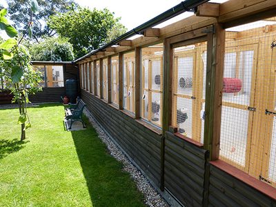 Outside the cattery