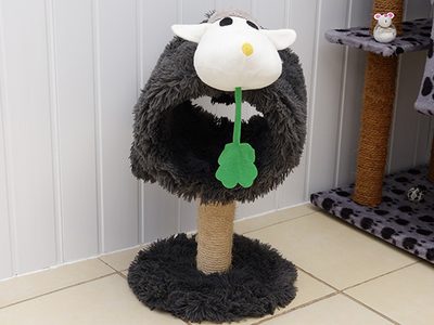 Scratching post